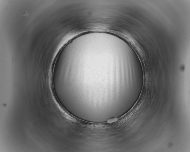 X0000097961432200804071019