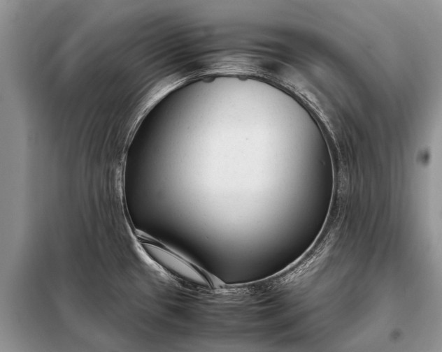 X0000097961433200804071019