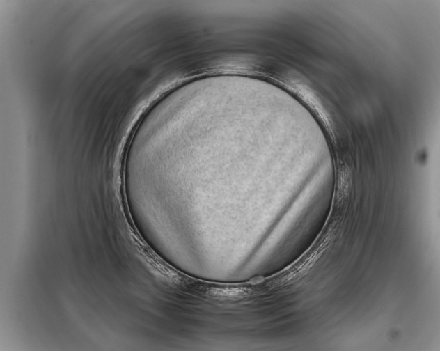 X0000097961435200804071019