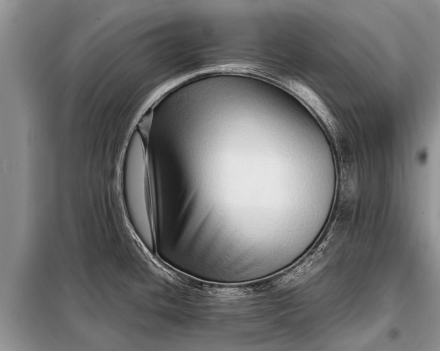 X0000097961436200804071019