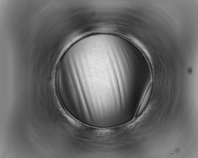 X0000097961437200804071019