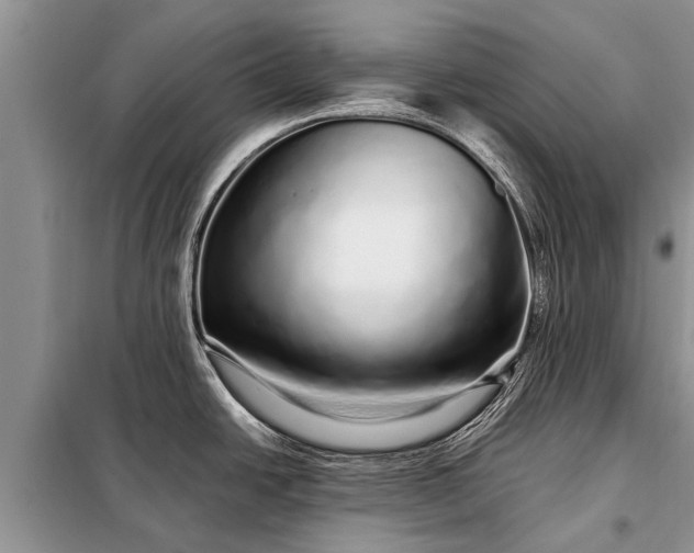 X0000097961438200804071019