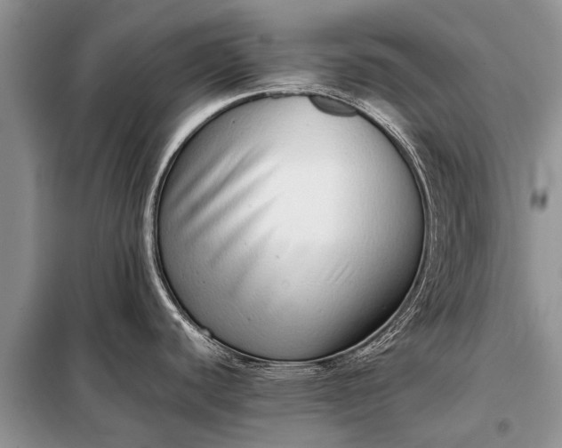 X0000097961440200804071019