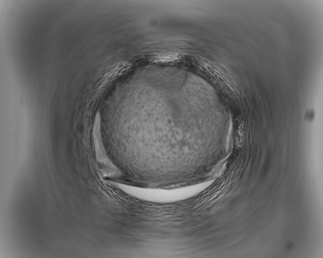X0000097961441200804071018