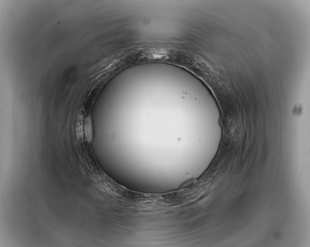 X0000097961442200804071018