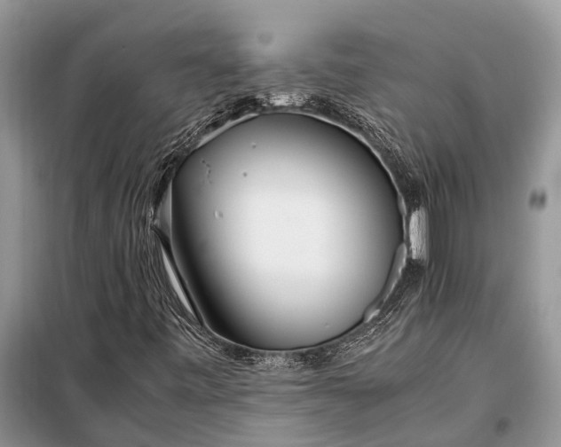 X0000097961443200804071018