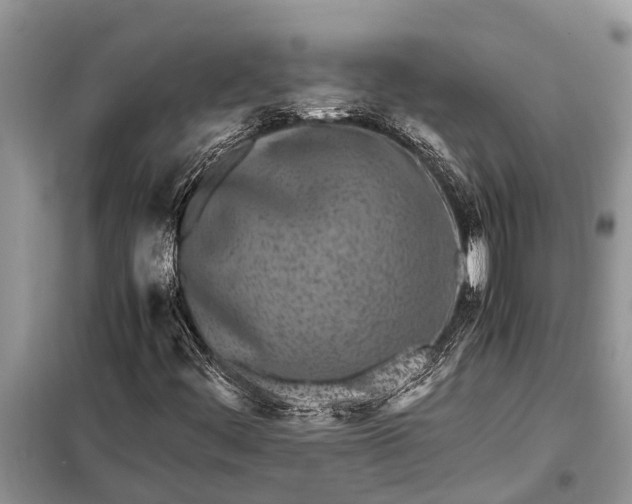 X0000097961444200804071018
