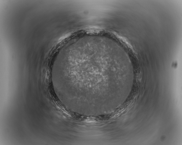X0000097961445200804071018