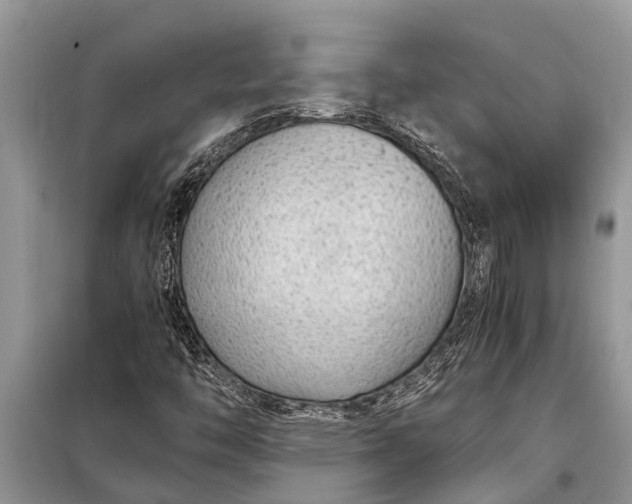 X0000097961446200804071018