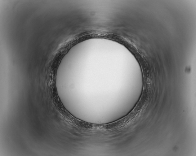 X0000097961447200804071018