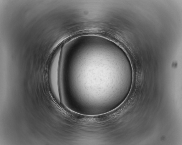 X0000097961450200804071018