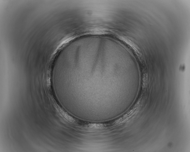 X0000097961451200804071018