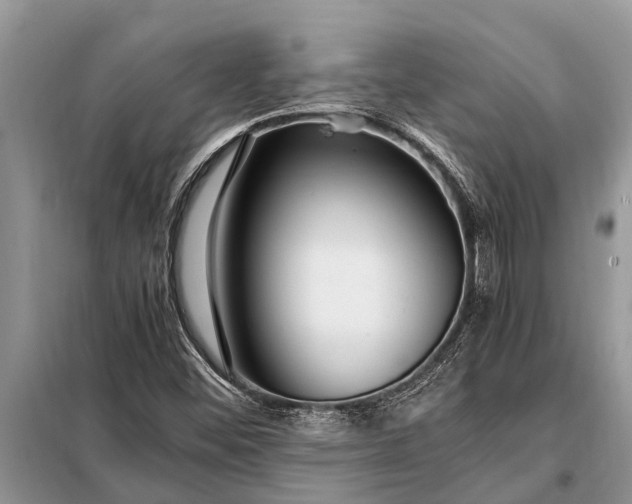 X0000097961452200804071018