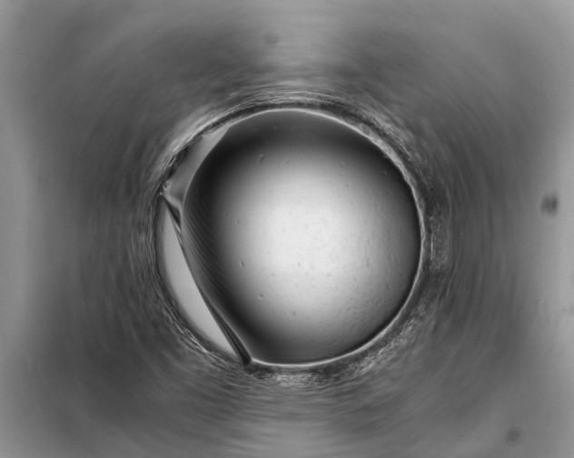X0000097961453200804071018