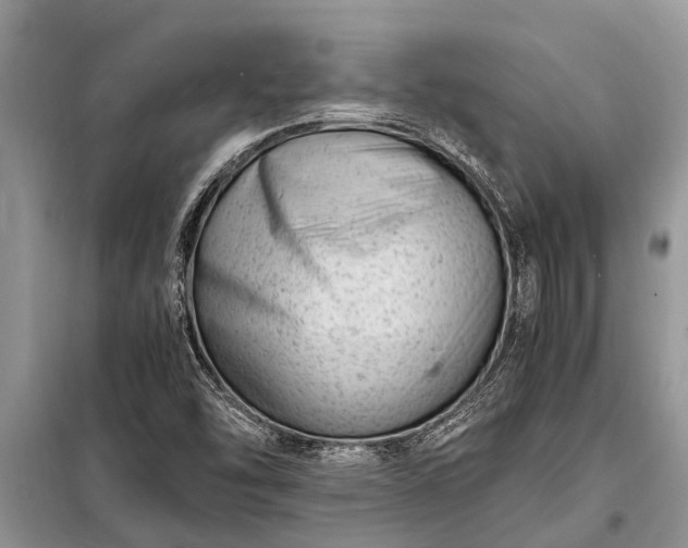 X0000097961454200804071018