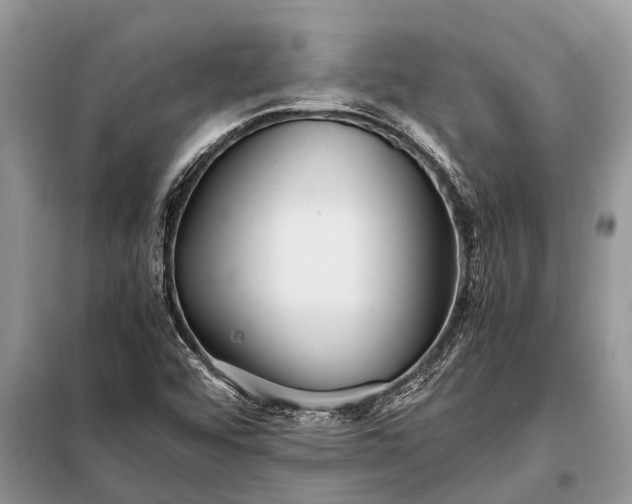 X0000097961456200804071018