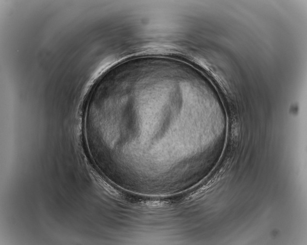 X0000097961459200804071018