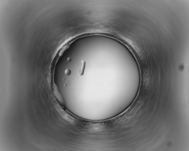X0000097961460200804071018