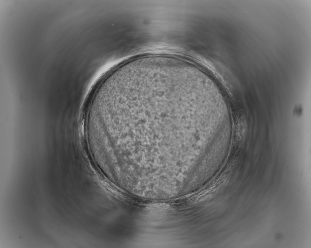 X0000097961462200804071018