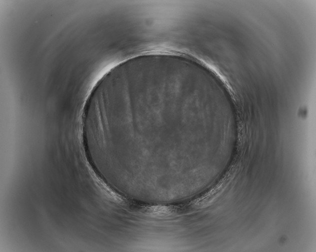 X0000097961463200804071018