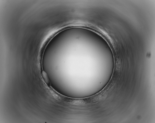 X0000097961464200804071018