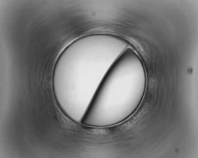 X0000097961465200804071018