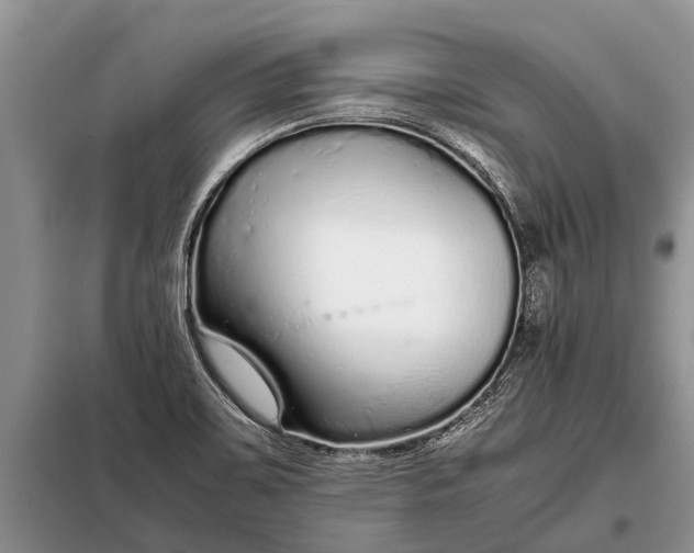X0000097961467200804071018