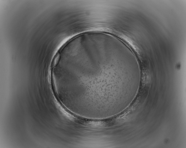 X0000097961468200804071018