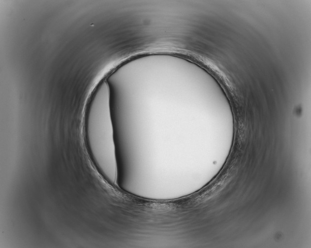 X0000097961469200804071018