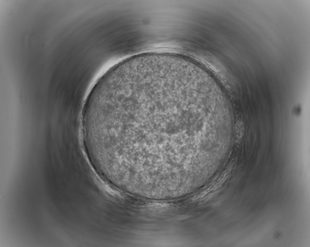 X0000097961470200804071018