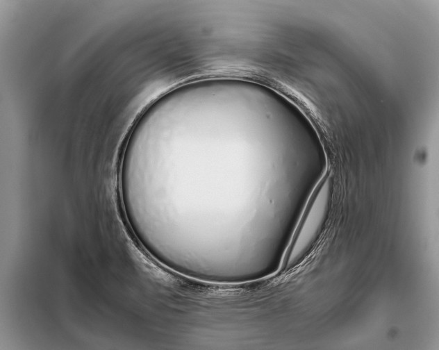 X0000097961471200804071018