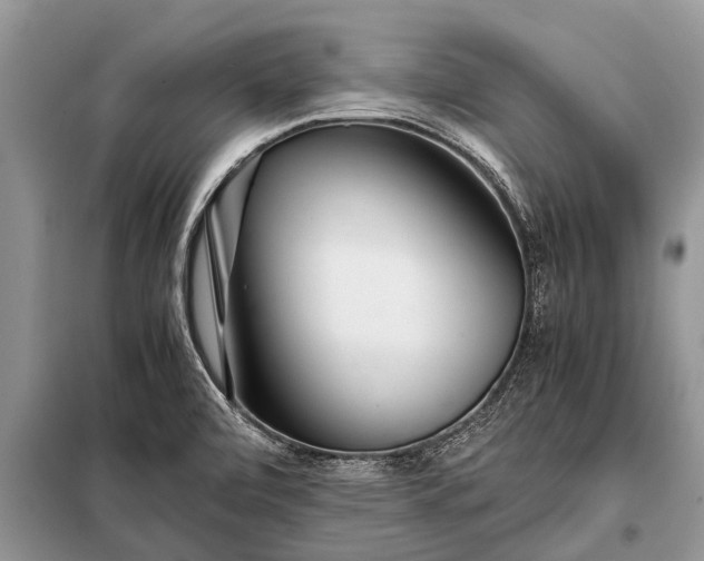 X0000097961472200804071018