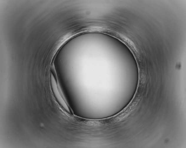 X0000097961473200804071018