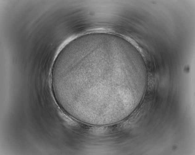 X0000097961474200804071018