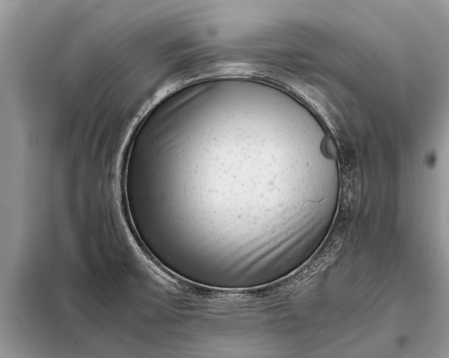 X0000097961475200804071018