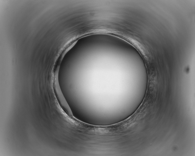 X0000097961476200804071018