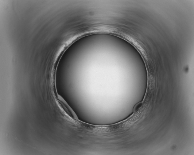 X0000097961477200804071018