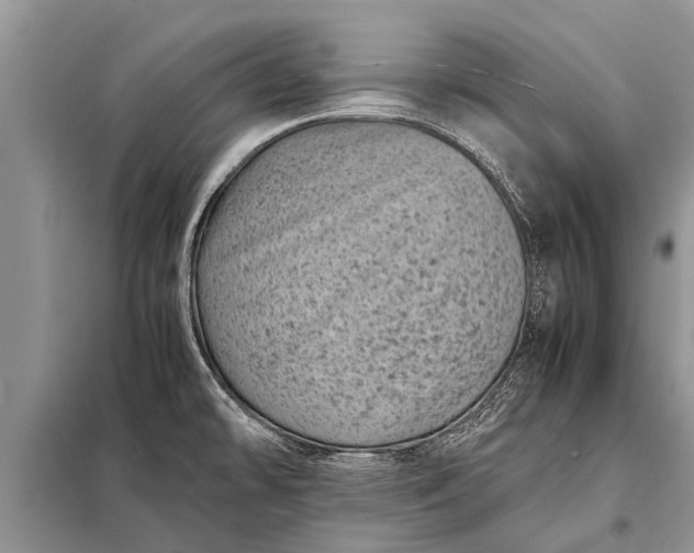 X0000097961478200804071018