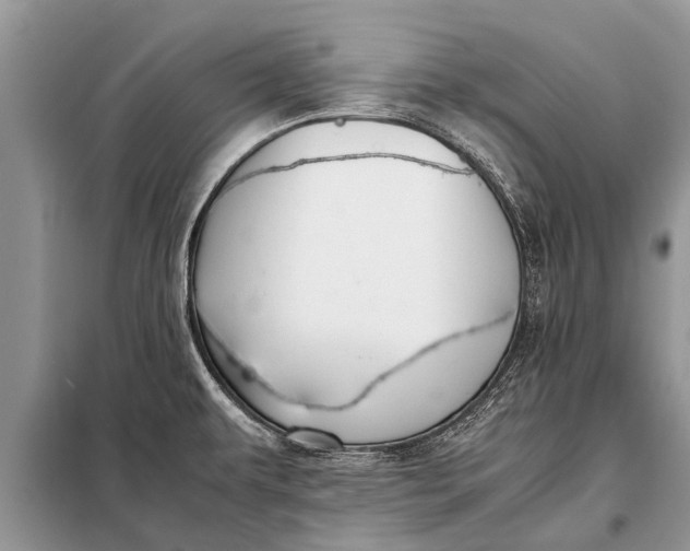 X0000097961479200804071018