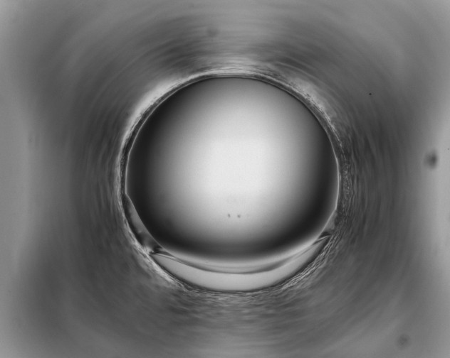 X0000097961480200804071018