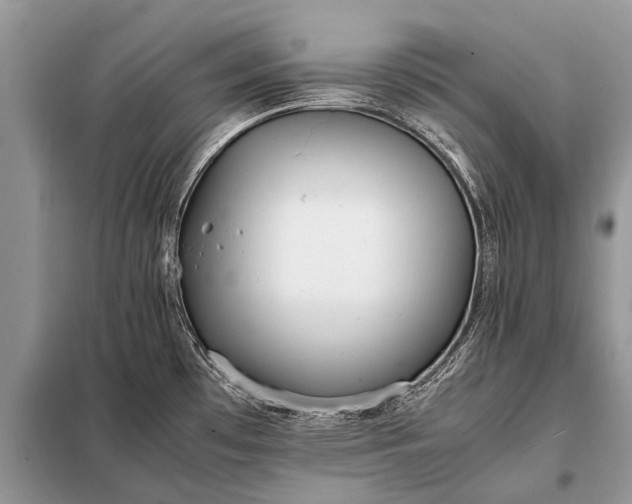 X0000097961481200804071018