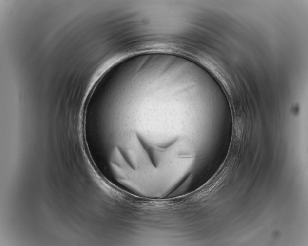 X0000097961482200804071018