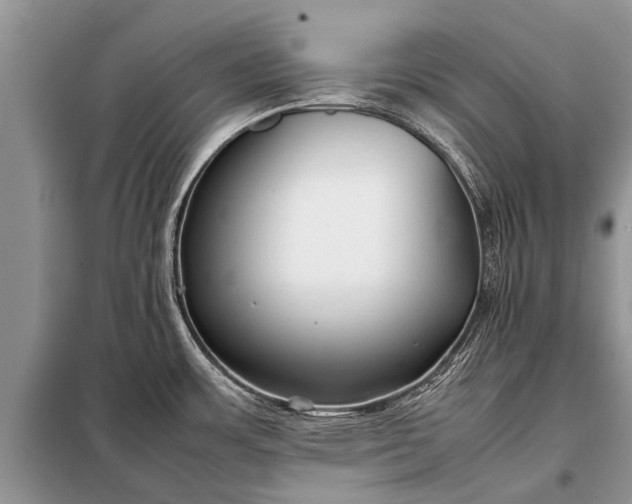 X0000097961483200804071018
