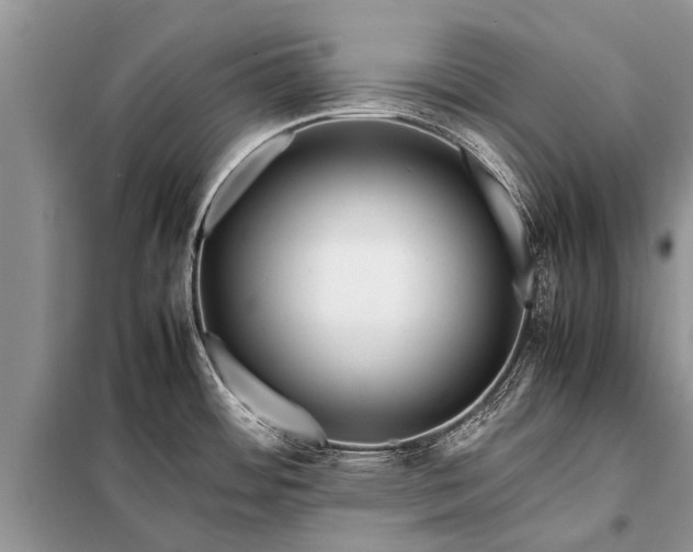 X0000097961484200804071018