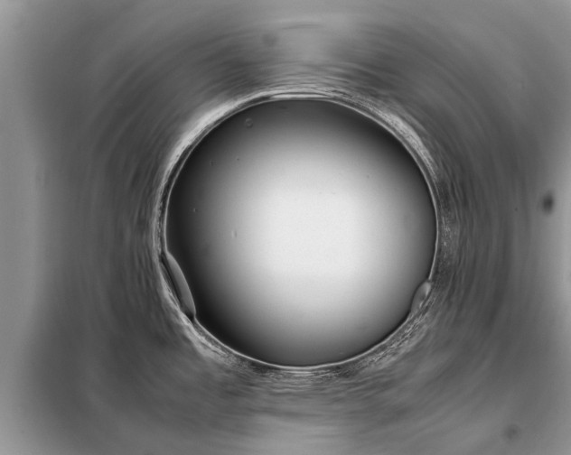 X0000097961485200804071018