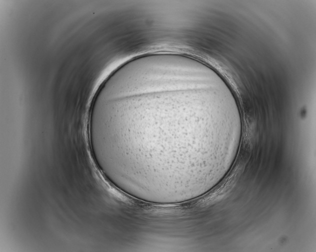 X0000097961486200804071018