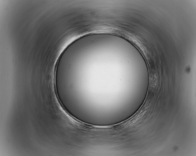 X0000097961487200804071018