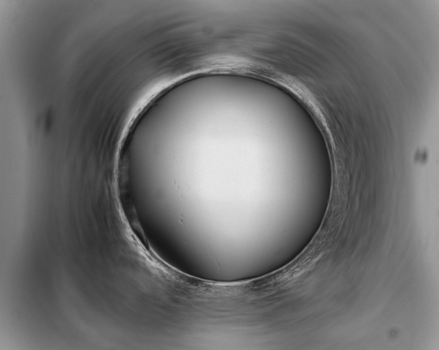 X0000097961488200804071018