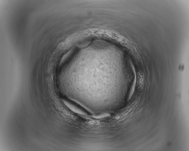 X0000097961489200804071017