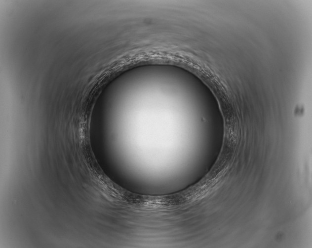 X0000097961490200804071017